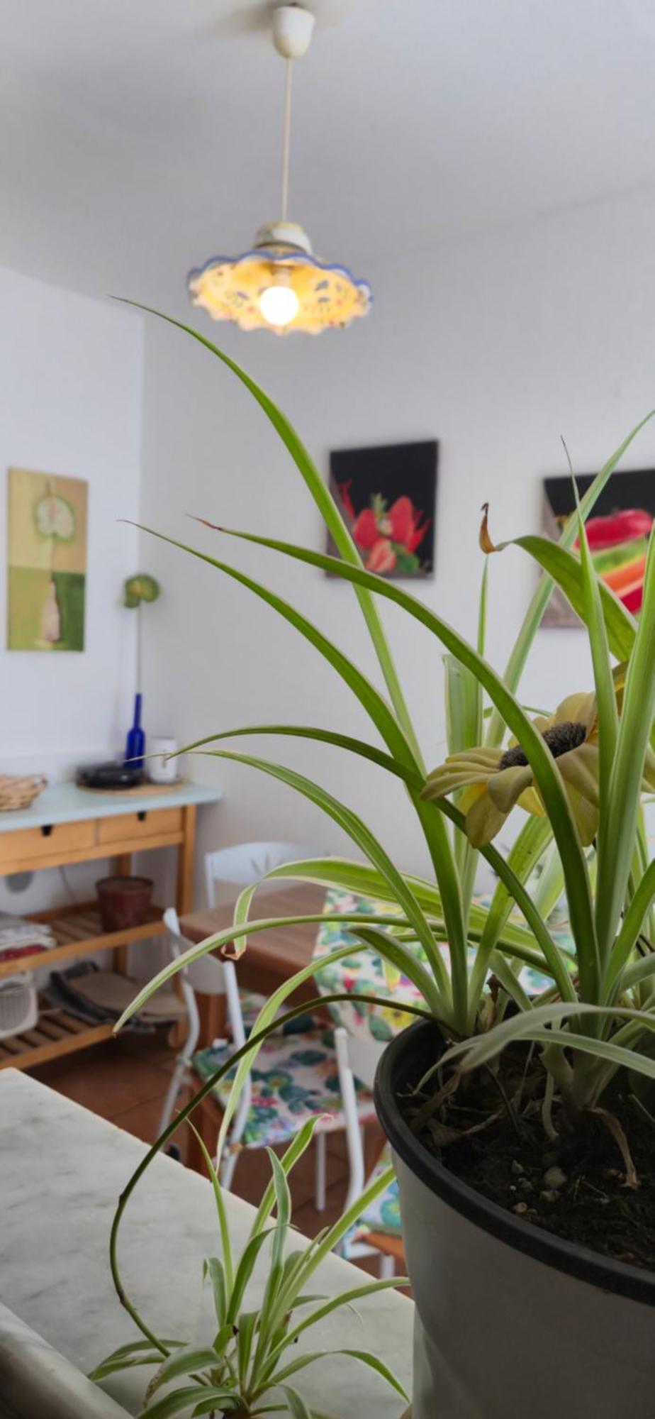 Apartment Trezza Aci Trezza Δωμάτιο φωτογραφία